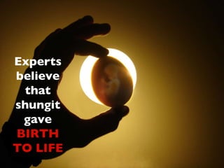 Experts believe that shungit gave   BIRTH TO LIFE 