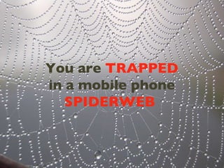 You are  TRAPPED  in a mobile phone  SPIDERWEB   