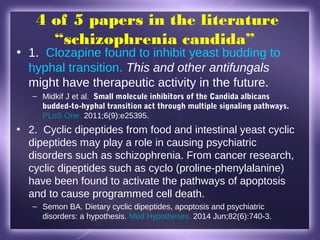 The Holistic Treatment of Schizophrenia