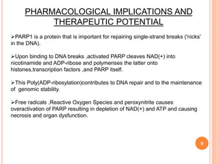 9
PHARMACOLOGICAL IMPLICATIONS AND
THERAPEUTIC POTENTIAL
PARP1 is a protein that is important for repairing single-strand breaks ('nicks'
in the DNA).
Upon binding to DNA breaks ,activated PARP cleaves NAD(+) into
nicotinamide and ADP-ribose and polymerises the latter onto
histones,transcription factors ,and PARP itself.
This Poly(ADP-ribosylation)contributes to DNA repair and to the maintenance
of genomic stability.
Free radicals ,Reactive Oxygen Species and peroxynitrite causes
overactivation of PARP resulting in depletion of NAD(+) and ATP and causing
necrosis and organ dysfunction.
 
