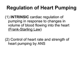 Regulation of Heart Pumping ,[object Object],[object Object]