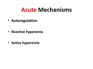 Acute MechanismsAutoregulationReactive hyperemiaActive hyperemia
