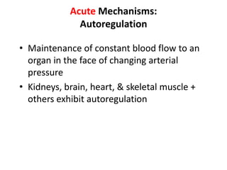 Acute Mechanisms:AutoregulationMaintenance of constant blood flow to an organ in the face of changing arterial pressureKidneys, brain, heart, & skeletal muscle + others exhibit autoregulation