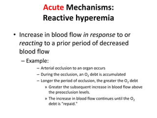Acute Mechanisms:Reactive hyperemiaIncrease in blood flow in response to or reacting to a prior period of decreased blood flowExample:Arterial occlusion to an organ occursDuring the occlusion, an O2 debt is accumulatedLonger the period of occlusion, the greater the O2 debt Greater the subsequent increase in blood flow above the preocclusion levels. The increase in blood flow continues until the O2 debt is "repaid."