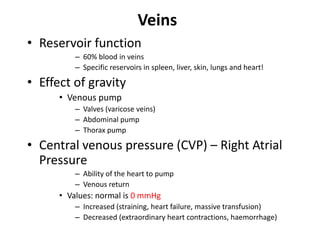 VeinsReservoir function60% blood in veinsSpecific reservoirs in spleen, liver, skin, lungs and heart!Effect of gravityVenous pumpValves (varicose veins)Abdominal pumpThorax pumpCentral venous pressure (CVP) – Right Atrial PressureAbility of the heart to pumpVenous returnValues: normal is 0 mmHgIncreased (straining, heart failure, massive transfusion)Decreased (extraordinary heart contractions, haemorrhage)