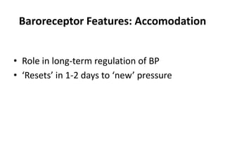 Baroreceptor Features: AccomodationRole in long-term regulation of BP‘Resets’ in 1-2 days to ‘new’ pressure