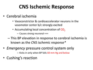 CNS Ischemic ResponseCerebral ischemiaVasoconstrictor & cardioaccelerator neurons in the vasomotor center b/c strongly excited Accumulating local concentration of CO2Causes strong neuronal +++This BP elevation in response to cerebral ischemia is known as the CNS ischemic response*Emergency pressure control system onlyKicks in only when BP falls 60 mm Hg and belowCushing’s reaction