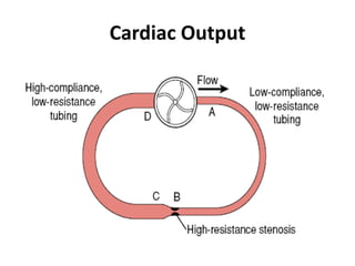 Cardiac Output