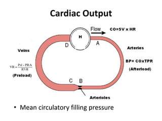 Cardiac OutputMean circulatory filling pressure