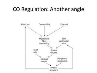 CO Regulation: Another angle