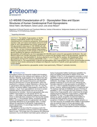 Article

                                                                                                                                      pubs.acs.org/jpr




LC−MS/MS Characterization of O‑ Glycosylation Sites and Glycan
Structures of Human Cerebrospinal Fluid Glycoproteins
Adnan Halim, Ulla Ruetschi, Goran Larson, and Jonas Nilsson*
Department of Clinical Chemistry and Transfusion Medicine, Institute of Biomedicine, Sahlgrenska Academy at the University of
Gothenburg, 413 45 Gothenburg, Sweden
  S
  * Supporting Information

  ABSTRACT: The GalNAc O-glycosylation on Ser/Thr
  residues of extracellular proteins has not been well
  characterized from a proteomics perspective. We previously
  reported a sialic acid capture-and-release protocol to enrich
  tryptic N- and O-glycopeptides from human cerebrospinal
  ﬂuid glycoproteins using nano-LC−ESI−MS/MS with colli-
  sion-induced dissociation (CID) for glycopeptide character-
  ization. Here, we have introduced peptide N-glycosidase F
  (PNGase F) pretreatment of CSF samples to remove the N-
  glycans facilitating the selective characterization of O-
  glycopeptides and enabling the use of an automated CID−MS2/MS3 search protocol for glycopeptide identiﬁcation. We used
  electron-capture and -transfer dissociation (ECD/ETD) to pinpoint the glycosylation site(s) of the glycopeptides, identiﬁed as
  predominantly core-1-like HexHexNAc-O- structure attached to one to four Ser/Thr residues. We characterized 106 O-
  glycosylations and found Pro residues preferentially in the n − 1, n + 1, and/or n + 3 positions in relation to the Ser/Thr
  attachment site (n). The characterization of glycans and glycosylation sites in glycoproteins from human clinical samples provides
  a basis for future studies addressing the biological and diagnostic importance of speciﬁc protein glycosylations in relation to
  human disease.
  KEYWORDS: glycoproteomics, glycopeptide, tandem mass spectrometry, PNGase F, hydrazide chemistry




■     INTRODUCTION
Extracellular proteins are frequently modiﬁed post-translation-
                                                                      family of polypeptide GalNAc transferases (ppGalNAc-Ts),
                                                                      which are together responsible for addition of the initial
ally with N-glycans on Asn residues and O-glycans on Ser/Thr          GalNAcα1-O-Ser/Thr on the polypeptide substrates.19,20 Each
residues.1 Recently, O-glycosylation of Tyr residues have also        ppGalNAc-T seems to exhibit rather unique speciﬁcity for the
been reported.2,3 Both N- and O-glycans are often terminated          O-glycosylation motif and also to show a tissue-speciﬁc
with sialic acids, with N-acetyl-5-neuraminic acid (Neu5Ac)           distribution. Accordingly, it has been shown that model
being the dominant form in human glycoproteins,4 which are            peptides containing S/T-X-X-P and P-S/T sequences are
essential for a multitude of cellular interactions.5−8 Mucins, that   favorably subjected to initial glycosylation by ppGalNAc-T1
is, glycoproteins with long stretches rich in Ser, Thr, and Pro       and -T221−23 due to substrate recognition by their catalytic
residues, are heavily GalNAc O-glycosylated on these Ser/Thr          domain. However, additional glycosylation of neighboring Ser/
residues.9,10 Such “mucin glycosylations” are known to protect        Thr residues might also be facilitated, because of binding of
epithelial cells from physical stress and to act as decoy             ppGalNAc-T1 and -T2 through their lectin domains24,25 to the
mechanisms for microbes.11 Nonmucin glycoproteins also carry          newly formed O-glycopeptide, which undermines the straight
GalNAc O-glycosylations on site-speciﬁc Ser/Thr resi-                 peptide-sequence-dependent O-glycosylation.26 Additionally,
dues3,12−15 and single or few clustered O-glycans have been           ppGalNAc-T427 and -T1028 glycosylate several Ser/Thr
shown to selectively block proteases from cleaving their peptide      residues by speciﬁc recognition of preformed GalNAc-O-
target sites.16−18 The proteolytic destiny, processing pathway,       through their lectin domains and also independently by
lifetime, and biological function of a glycoprotein can thus be       recognition of GalNAc-O- through their catalytic domains.26,28
speciﬁcally determined by its glycosylation status. To better         Two web resources are available where GalNAc O-glycosylation
address the signiﬁcance of site-speciﬁc O-glycosylation of            sites are predicted based on known glycosylation sites
speciﬁc glycoproteins, it is accordingly important to map the         [Netoglyc 3.1, http://www.cbs.dtu.dk/services/NetOGlyc/;
O-glycosylation sites.                                                and Isoform Speciﬁc O-Glycosylation Prediction (ISOGlyP),
    As opposed to the Asn-X-Ser/Thr consensus motif of N-
glycosylation, no apparent consensus motif for O-glycosylation
seems to exist. This is likely due to the existence and diﬀerential
expression of up to 20 diﬀerent mammalian genes coding for a
                                                                      Received: June 12, 2012
                                                                      Published: December 13, 2012

                             © 2012 American Chemical Society   573                     dx.doi.org/10.1021/pr300963h | J. Proteome Res. 2013, 12, 573−584
 