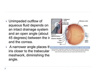  Unimpeded outflow of
aqueous fluid depends on
an intact drainage system
and an open angle (about
45 degrees) between the iris
and the cornea.
 A narrower angle places the
iris closer to the trabecular
meshwork, diminishing the
angle.
 
