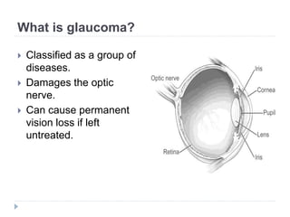 What is glaucoma?
 Classified as a group of
diseases.
 Damages the optic
nerve.
 Can cause permanent
vision loss if left
untreated.
 