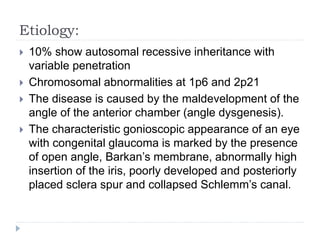 Etiology:
 10% show autosomal recessive inheritance with
variable penetration
 Chromosomal abnormalities at 1p6 and 2p21
 The disease is caused by the maldevelopment of the
angle of the anterior chamber (angle dysgenesis).
 The characteristic gonioscopic appearance of an eye
with congenital glaucoma is marked by the presence
of open angle, Barkan’s membrane, abnormally high
insertion of the iris, poorly developed and posteriorly
placed sclera spur and collapsed Schlemm’s canal.
 