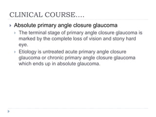 CLINICAL COURSE….
 Absolute primary angle closure glaucoma
 The terminal stage of primary angle closure glaucoma is
marked by the complete loss of vision and stony hard
eye.
 Etiology is untreated acute primary angle closure
glaucoma or chronic primary angle closure glaucoma
which ends up in absolute glaucoma.
 