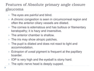 Features of Absolute primary angle closure
glaucoma
 The eyes are painful and blind.
 A chronic congestion is seen in circumcorneal region and
often the anterior ciliary vessels are dilated.
 The cornea is edematous and has bullous or filamentary
keratopathy; it is hazy and insensitive.
 The anterior chamber is shallow.
 The iris may show atropic patches.
 The pupil is dilated and does not react to light and
accommodation.
 Ectropion of uveal pigment is frequent at the papillary
boarder.
 IOP is very high and the eyeball is stony hard.
 The optic nerve head is deeply cupped.
 