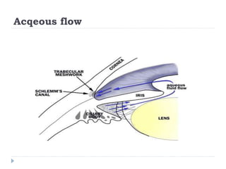 Acqeous flow
 