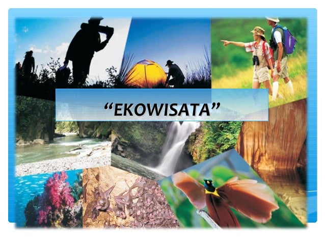Image result for ekowisata