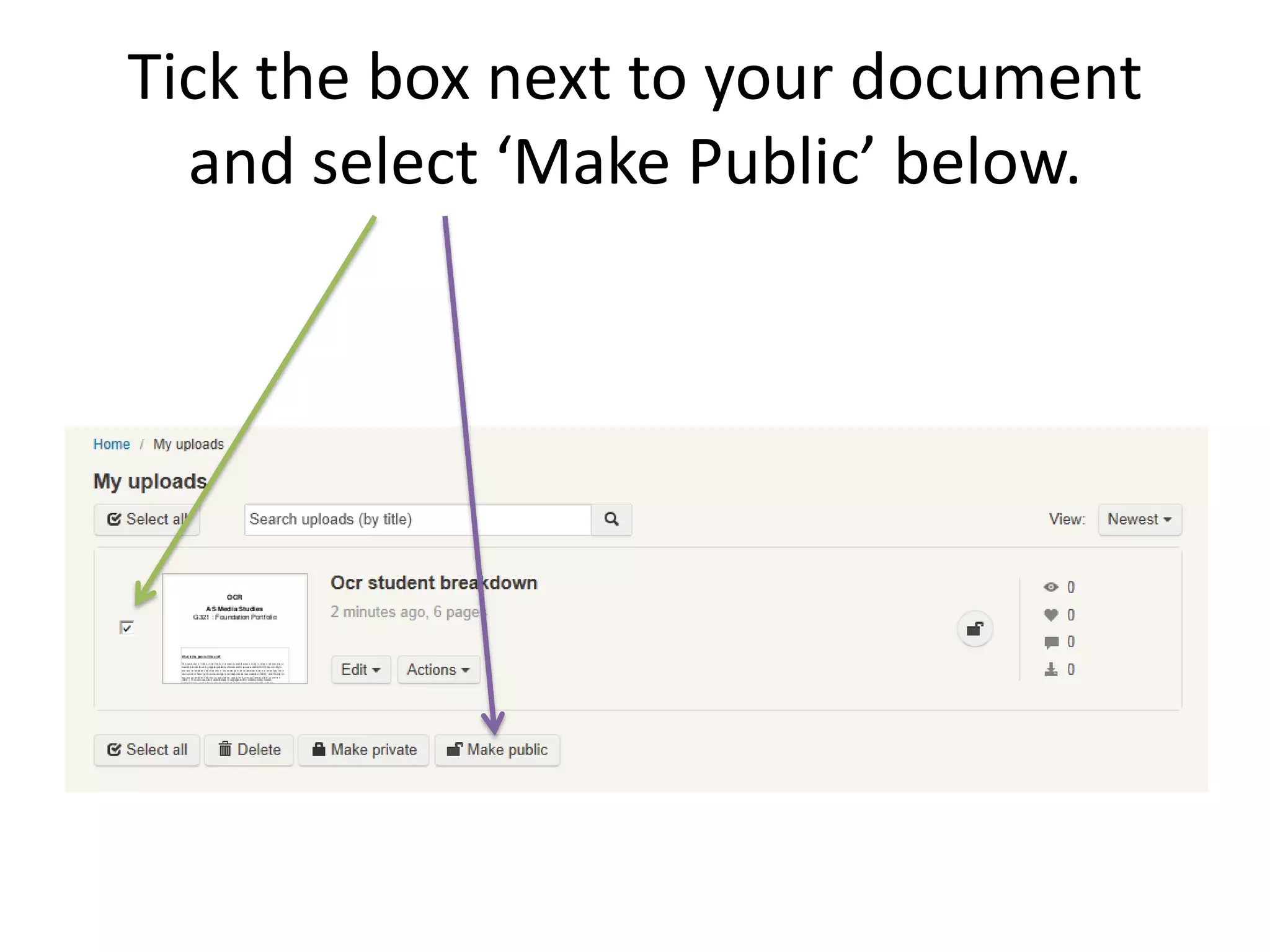 Tick the box next to your document
and select ‘Make Public’ below.
