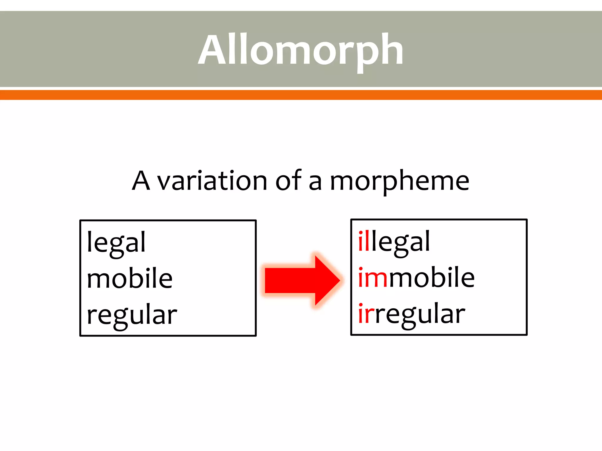 Allomorph

   A variation of a morpheme

legal              illegal
mobile             immobile
regular            irregular
 