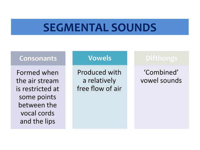 Intro. to Linguistics_6 Phonetics (Organ of Speech, Segment, Articulation)