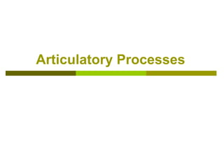 Articulatory Processes
 