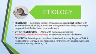 ETIOLOGY
• RESERVOIR- As leprosy spreads through prolonged direct contact with
an infected individual. So, humans act as major reservoir.They are thought
to spread the infection from nose and mouth.
• OTHER RESERVOIRS - Along with humans , animals like
armadillos,chimpanzees,monkeys also serve as reservoir of infection.
• GENETICS – Several genes have been linked with leprosy. Region of D.N.A.
responsible for leprosy is also responsible for Parkinson’s disease. Genes are
involved in leprosy –PARK 2 , LTA
 