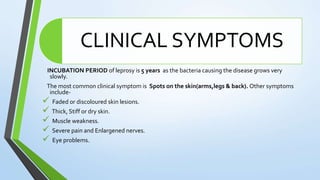 CLINICAL SYMPTOMS
INCUBATION PERIOD of leprosy is 5 years as the bacteria causing the disease grows very
slowly.
The most common clinical symptom is Spots on the skin(arms,legs & back). Other symptoms
include-
 Faded or discoloured skin lesions.
 Thick, Stiff or dry skin.
 Muscle weakness.
 Severe pain and Enlargened nerves.
 Eye problems.
 