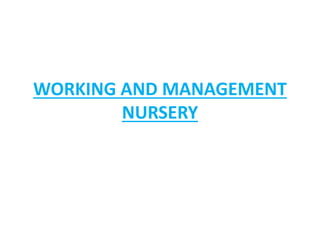 WORKING AND MANAGEMENT
NURSERY
 
