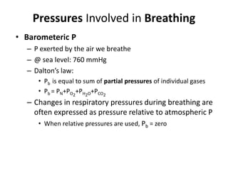 Pressures Involved in BreathingBarometeric PP exerted by the air we breathe@ sea level: 760 mmHgDalton’s law:Pb  is equal to sum of partial pressures of individual gasesPb = PN+PO2+PH2O+PCO2Changes in respiratory pressures during breathing are often expressed as pressure relative to atmospheric PWhen relative pressures are used, Pb = zero