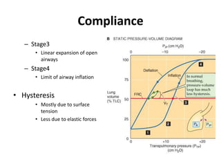 ComplianceStage3Linear expansion of open airwaysStage4Limit of airway inflationHysteresisMostly due to surface tensionLess due to elastic forces