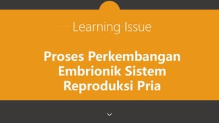 Learning Issue
Proses Perkembangan
Embrionik Sistem
Reproduksi Pria
 