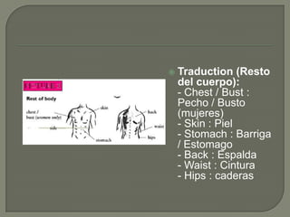    Traduction (Resto
    del cuerpo):
    - Chest / Bust :
    Pecho / Busto
    (mujeres)
    - Skin : Piel
    - Stomach : Barriga
    / Estomago
    - Back : Espalda
    - Waist : Cintura
    - Hips : caderas
 