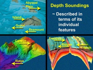 Abyssal
Plain
Island
Guyot
Seamount
Canyon

Depth Soundings
~ Described in
terms of its
individual
features
Fracture
Ridges

Ridge

Trench

 
