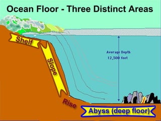 Ocean Floor - Three Distinct Areas

 