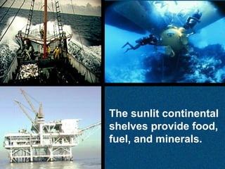 The sunlit continental
shelves provide food,
fuel, and minerals.

 
