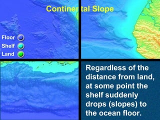 Continental Slope

Floor
Shelf
Land

Regardless of the
distance from land,
at some point the
shelf suddenly
drops (slopes) to
the ocean floor.

 