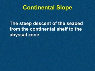 Continental Slope
The steep descent of the seabed
from the continental shelf to the
abyssal zone

 