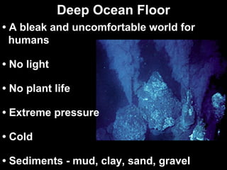 Deep Ocean Floor
• A bleak and uncomfortable world for
humans
• No light
• No plant life
• Extreme pressure
• Cold
• Sediments - mud, clay, sand, gravel

 