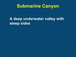 Submarine Canyon
A deep underwater valley with
steep sides

 