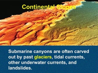 Continental Slopes

Submarine canyons are often carved
out by past glaciers, tidal currents,
other underwater currents, and
landslides.

 
