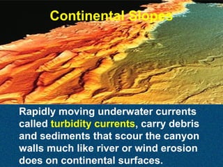 Continental Slopes

Rapidly moving underwater currents
called turbidity currents, carry debris
and sediments that scour the canyon
walls much like river or wind erosion
does on continental surfaces.

 