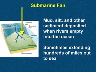 Submarine Fan
Mud, silt, and other
sediment deposited
when rivers empty
into the ocean
Sometimes extending
hundreds of miles out
to sea

 
