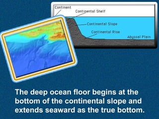 The deep ocean floor begins at the
bottom of the continental slope and
extends seaward as the true bottom.

 