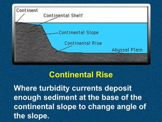 Continental Rise
Where turbidity currents deposit
enough sediment at the base of the
continental slope to change angle of
the slope.

 