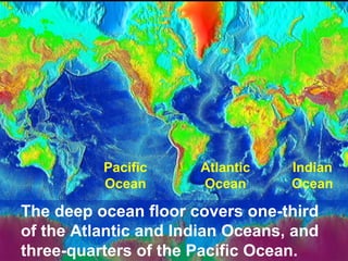 Pacific
Ocean

Atlantic
Ocean

Indian
Ocean

The deep ocean floor covers one-third
of the Atlantic and Indian Oceans, and
three-quarters of the Pacific Ocean.

 