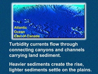 Atlantic
Ocean
East of Canada

Turbidity currents flow through
connecting canyons and channels
carrying land sediment.
Heavier sediments create the rise,
lighter sediments settle on the plains.

 