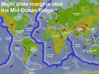 Major plate margins abut
the Mid-Ocean Ridge

 