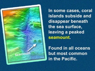 In some cases, coral
islands subside and
disappear beneath
the sea surface,
leaving a peaked
seamount.

t
amoun
Se

Found in all oceans
but most common
in the Pacific.

 