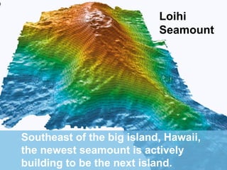 Loihi
Seamount

Southeast of the big island, Hawaii,
the newest seamount is actively
building to be the next island.

 